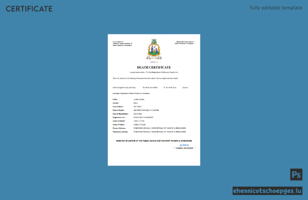 Personenstandsurkunde von St. Vincent und den Grenadinen (Word- und PDF-Beispiel)